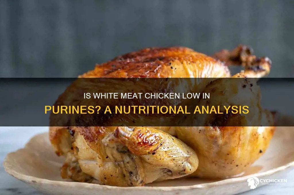 is white meat chicken low in purines
