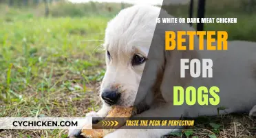 White or Dark Meat Chicken: Which is Better for Dogs?