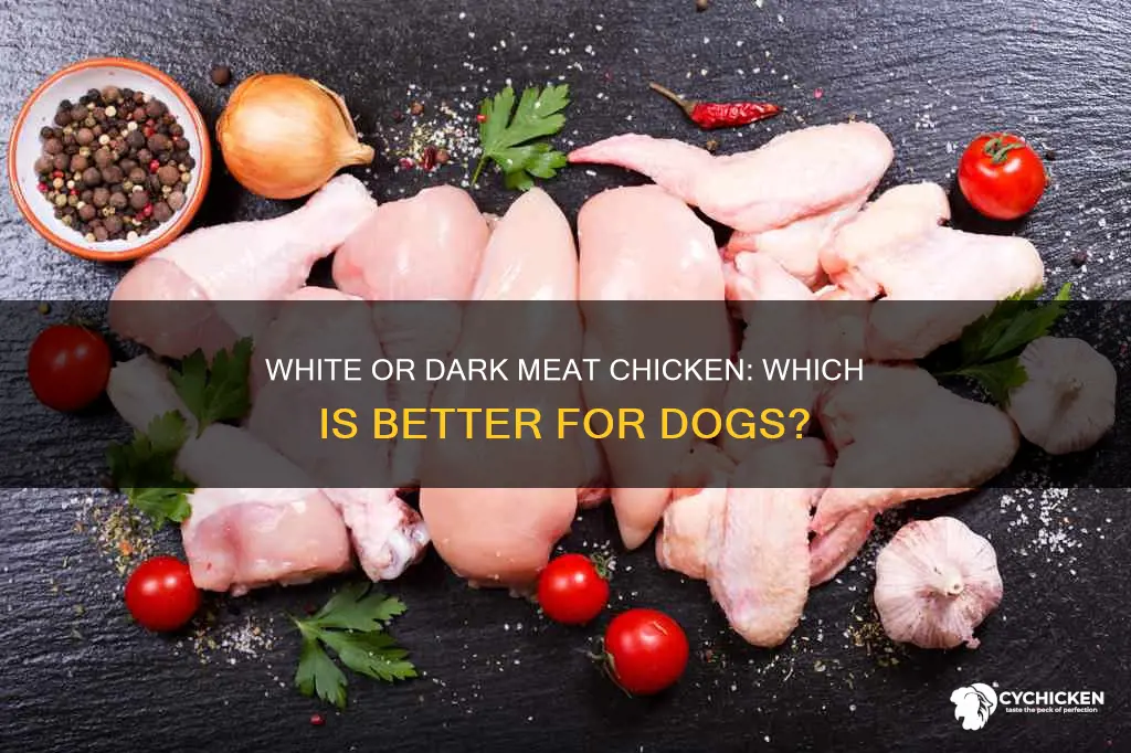 is white or dark meat chicken better for dogs