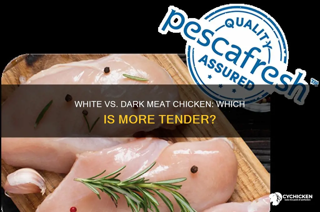 is white or dark meat chicken more tender
