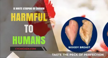 White Striping in Chicken: Health Risks for Human Consumption?