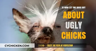 Who Let the Dogs Out: Ugly Chicks or Misogyny?