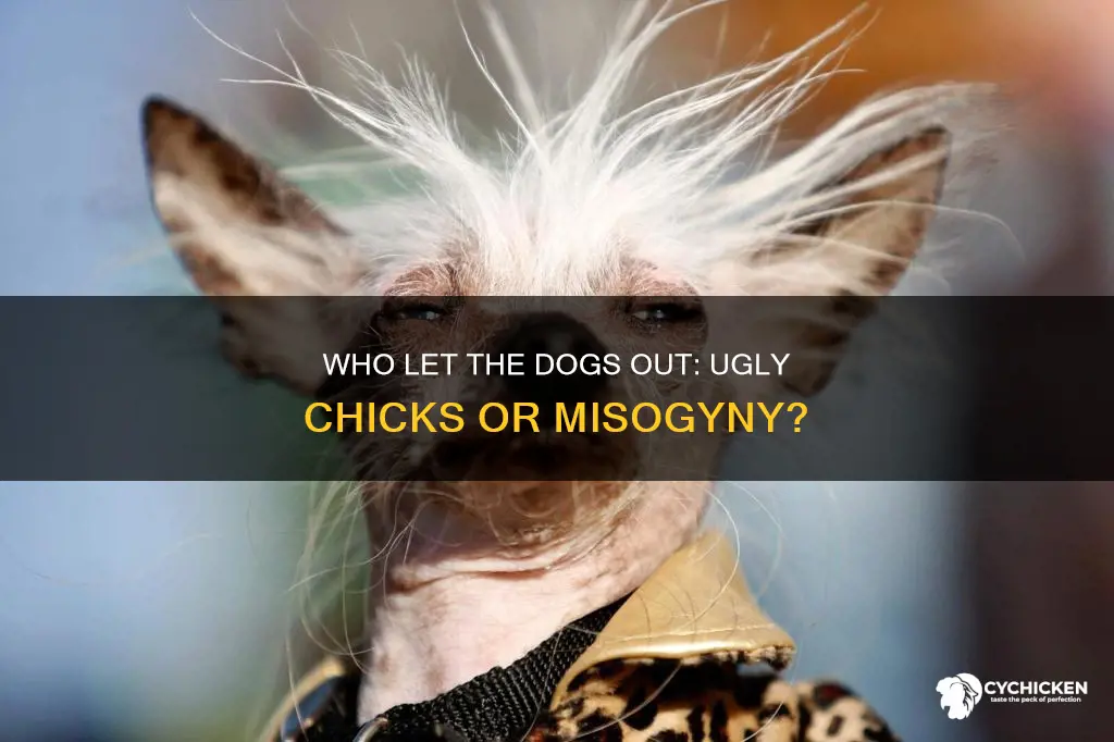 is who let the dogs out about ugly chicks