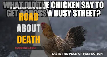 The Chicken's Journey: A Tale of Life and Death