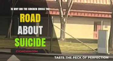 The Chicken's Journey: A Dark Road Crossing