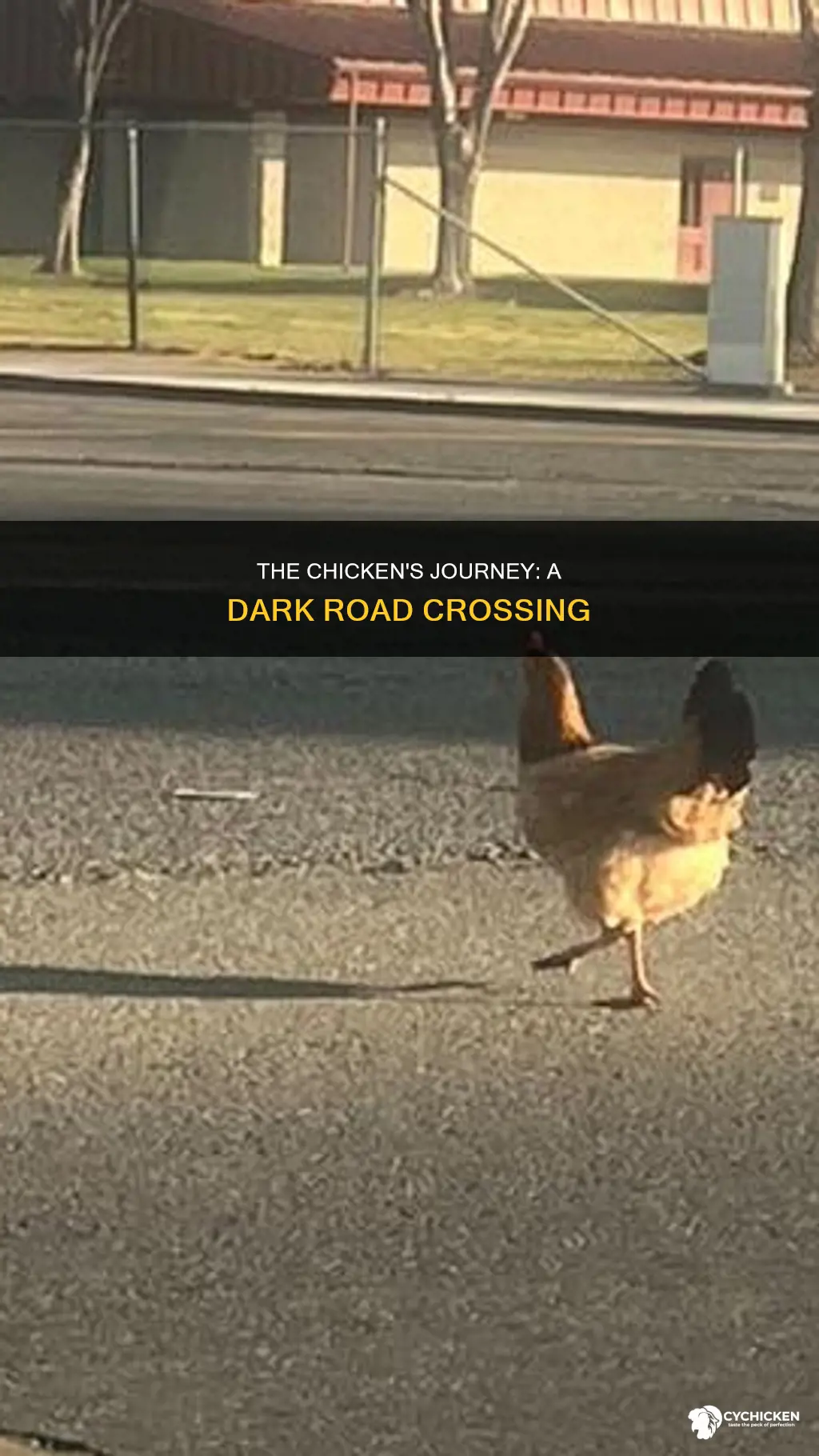 is why did the chicken cross the road about suicide
