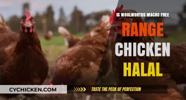 Is Woolworths Macro Free Range Chicken Halal? Facts Revealed