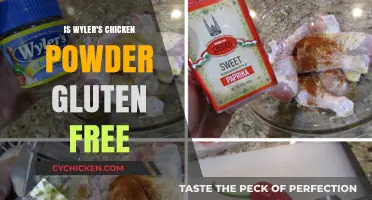 Is Wyler's Chicken Powder Gluten-Free? A Complete Guide