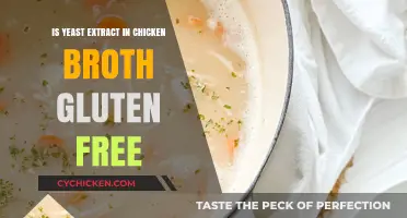 Exploring Gluten-Free Options: Yeast Extract in Chicken Broth