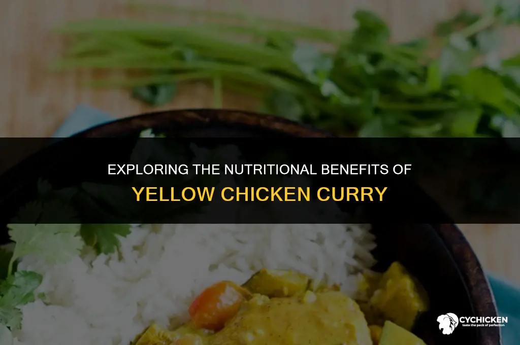 is yellow chicken curry healthy