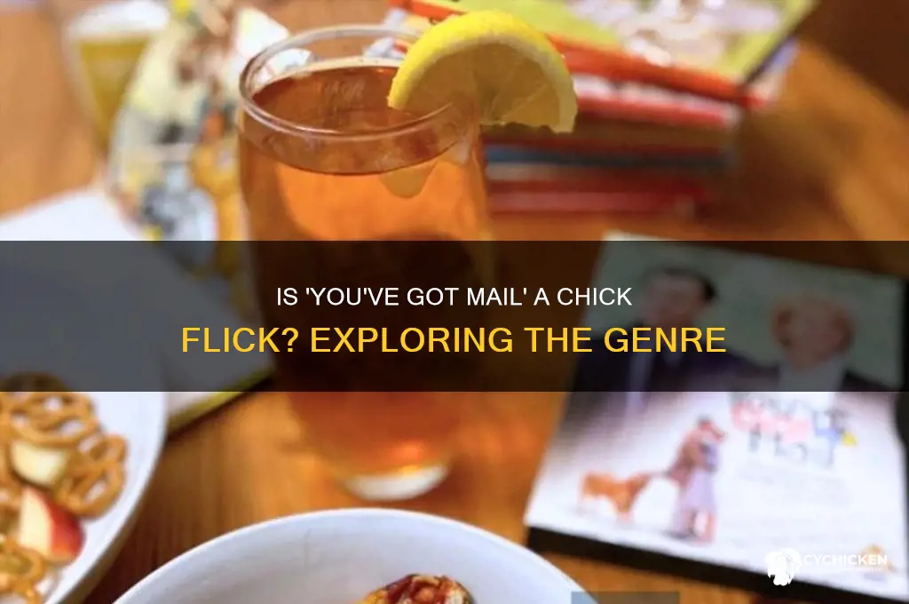 is you ve got mail a chick flick