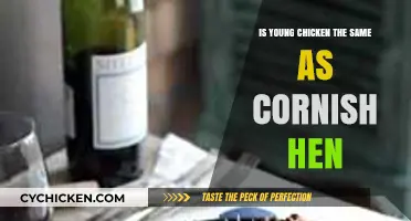 Young Chicken vs. Cornish Hen: Understanding the Key Differences