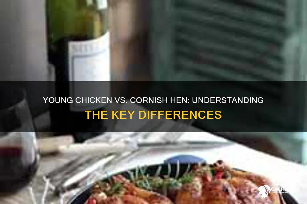is young chicken the same as cornish hen