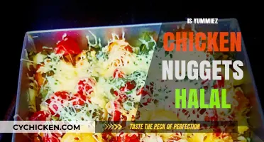 Are Yummiez Chicken Nuggets Halal? A Comprehensive Guide