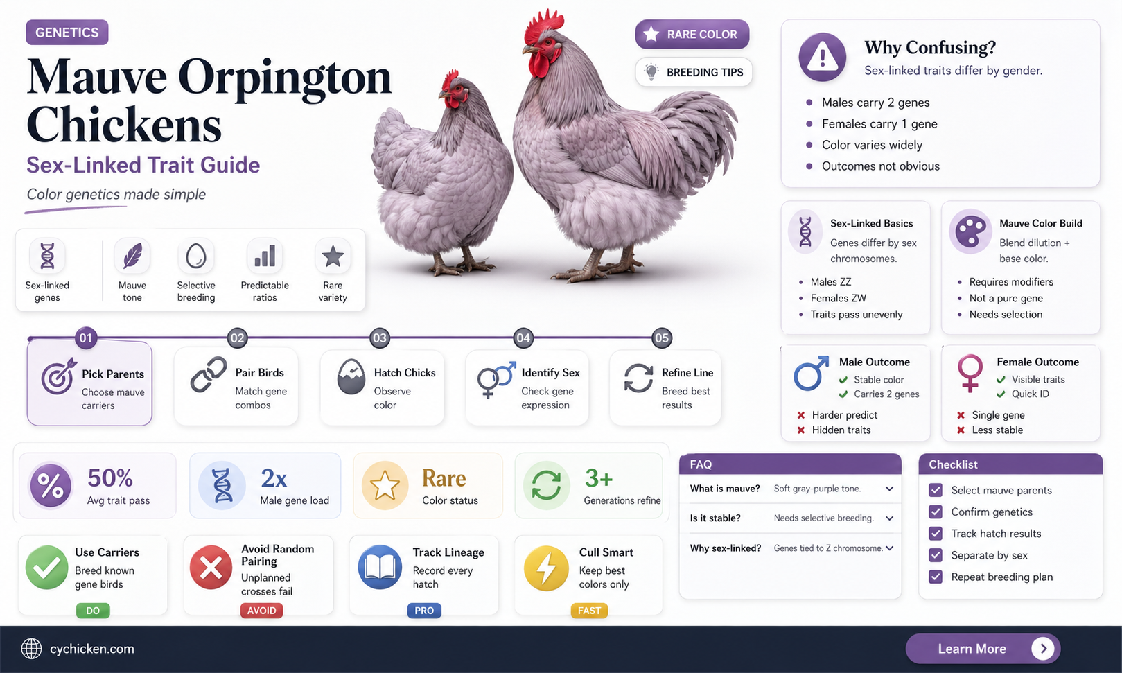 are all mauve orpington chicken sex linked traits
