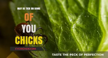 Tick Alert: Essential Tips for Chicks to Stay Safe and Healthy