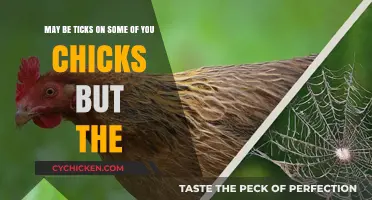 Chicks and Ticks: A Harmful Relationship
