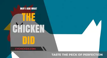What Did the Chicken Do? Unraveling the Mystery Behind the Clucks