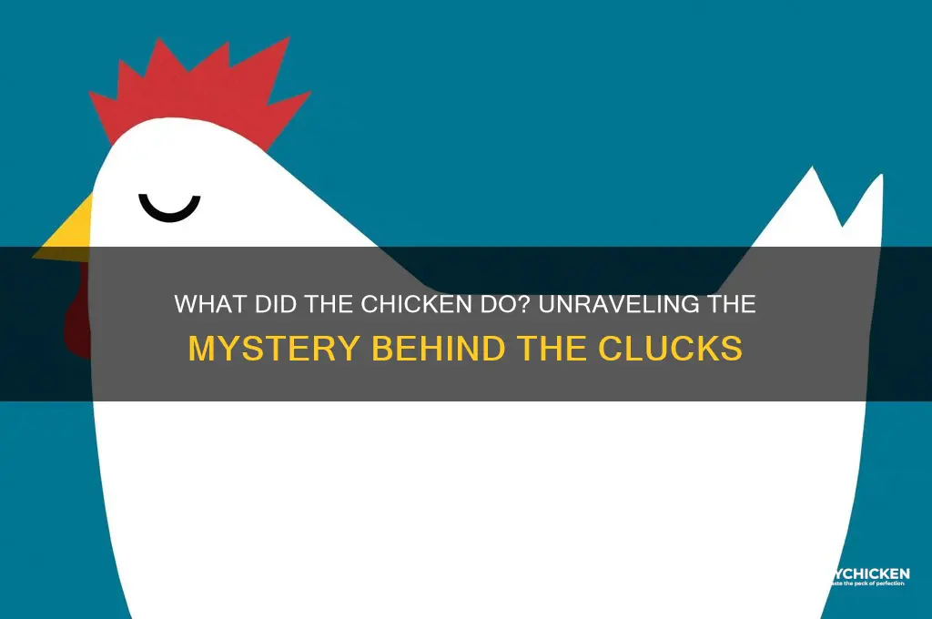 may i ask what the chicken did