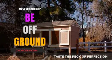 Elevating Your Chicken Coop: Benefits and Considerations