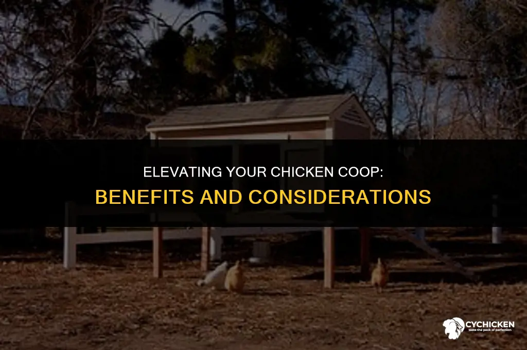 must chicken coop be off ground
