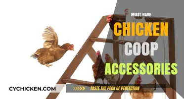 Essential Accessories for a Happy and Healthy Chicken Coop
