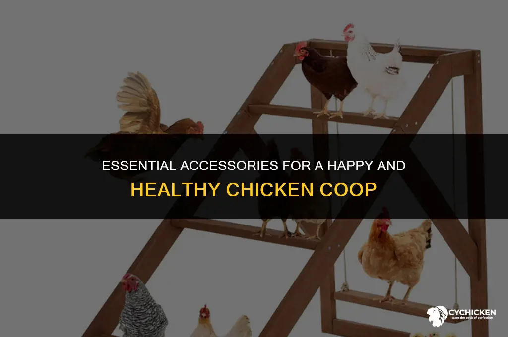 must have chicken coop accessories