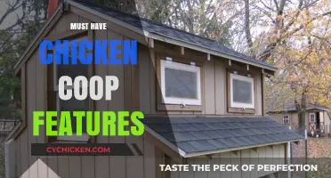 Essential Features Every Chicken Coop Should Have for Happy Hens