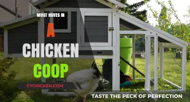 Essential Elements for a Happy and Healthy Chicken Coop