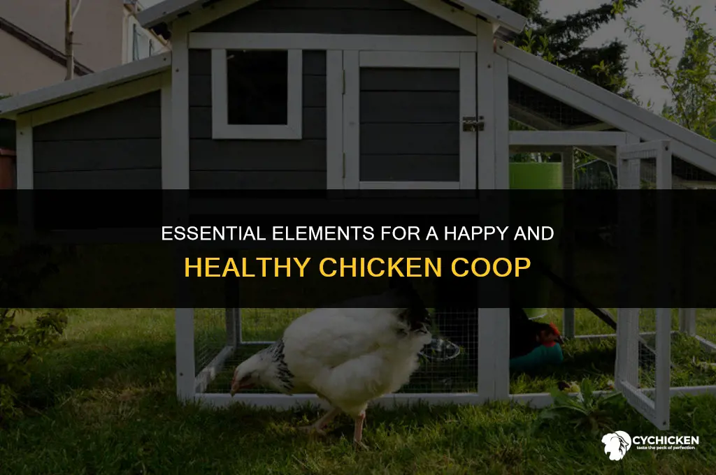must haves in a chicken coop