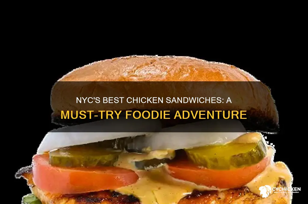 must try chicken sandwich in nyc