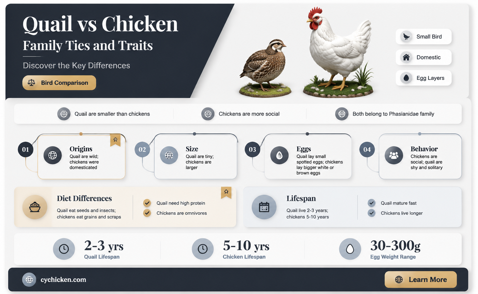 are quail and chicken in the same family