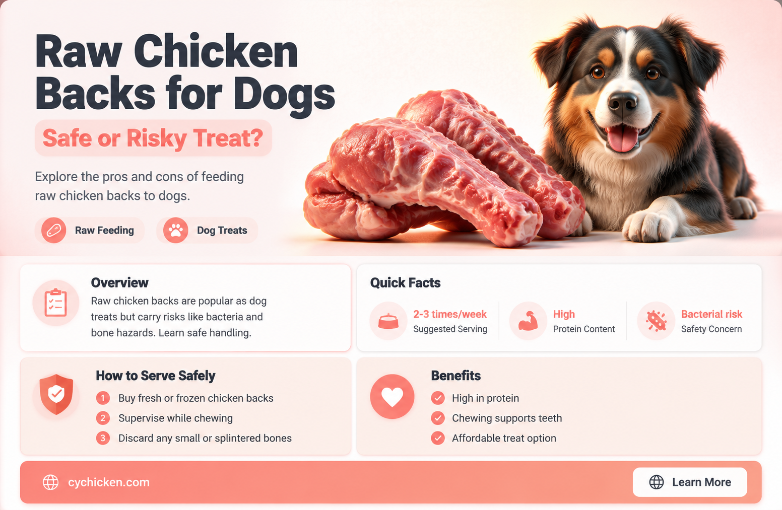 are raw chicken backs safe for dogs