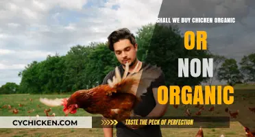Organic vs. Non-Organic Chicken: Which is the Better Choice?