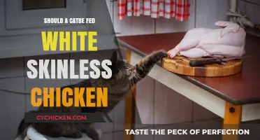 Can Cats Eat White Skinless Chicken? A Feline Nutrition Guide