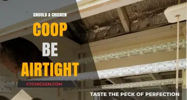 Ensuring Proper Ventilation: The Airtight Chicken Coop Debate