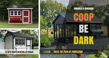 Debunking Myths: The Ideal Lighting Conditions for a Chicken Coop