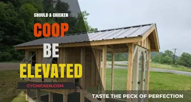 Elevating Your Chicken Coop: Pros, Cons, and Practical Considerations
