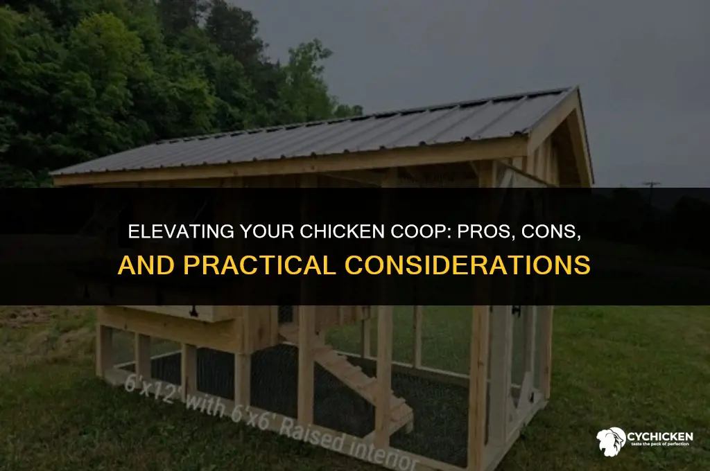 should a chicken coop be elevated