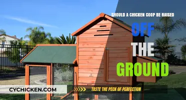 Elevating Your Chicken Coop: Pros, Cons, and Considerations