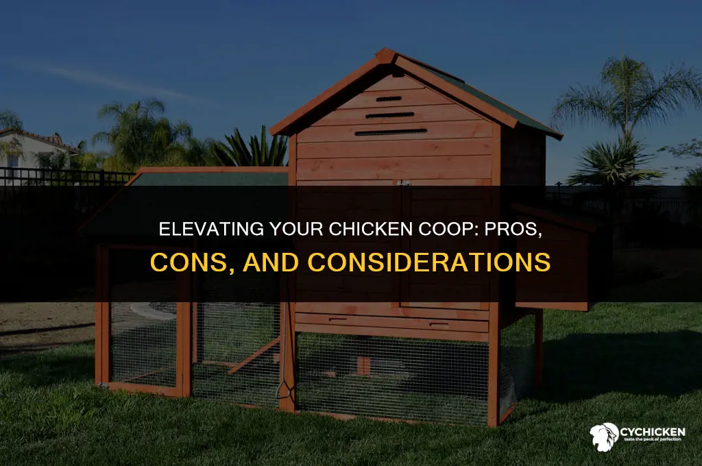 should a chicken coop be raised off the ground