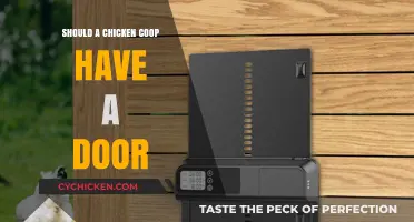 Securing Your Flock: The Importance of Doors in Chicken Coops