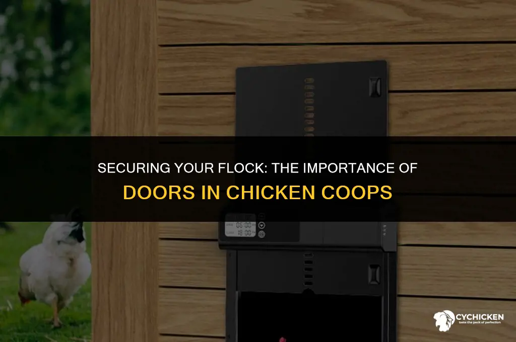 should a chicken coop have a door