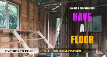 The Great Debate: Flooring in Chicken Coops - Pros and Cons
