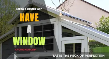 Debate: To Window or Not to Window in a Chicken Coop?
