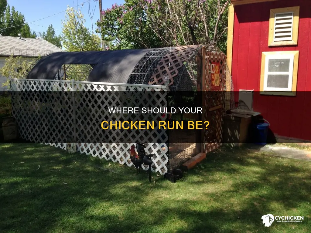should a chicken run be in full sun or shade