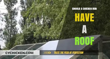 Should Chicken Runs Have Roofs? Pros, Cons, and Best Practices