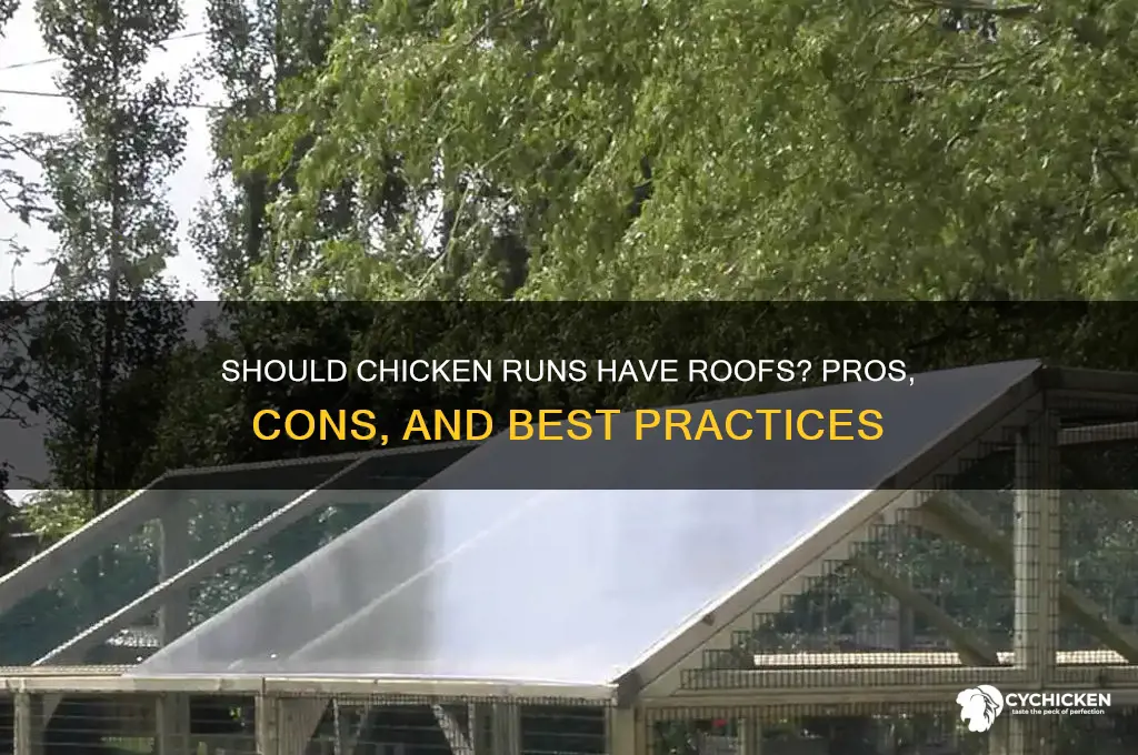 should a chicken run have a roof