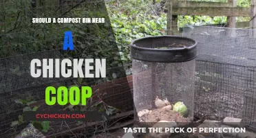 Composting Near a Chicken Coop: Benefits and Considerations
