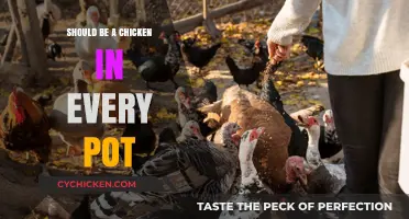 Sustainable Poultry: Ensuring a Chicken in Every Pot